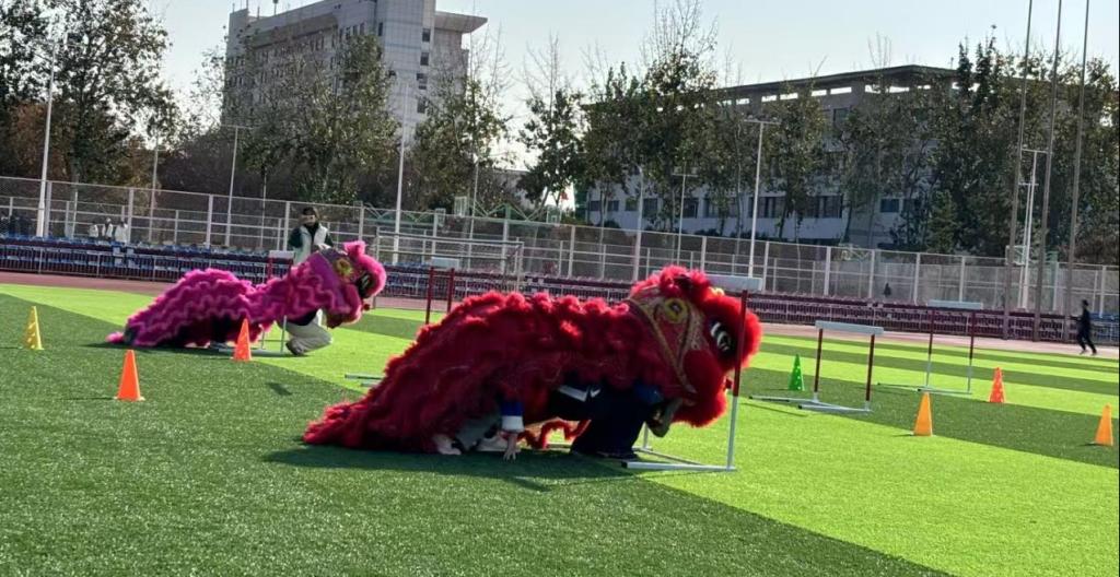 香港全年最全免费资料大全