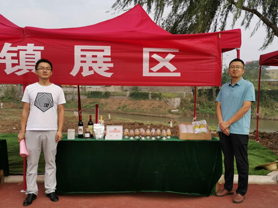 香港全年最全免费资料大全