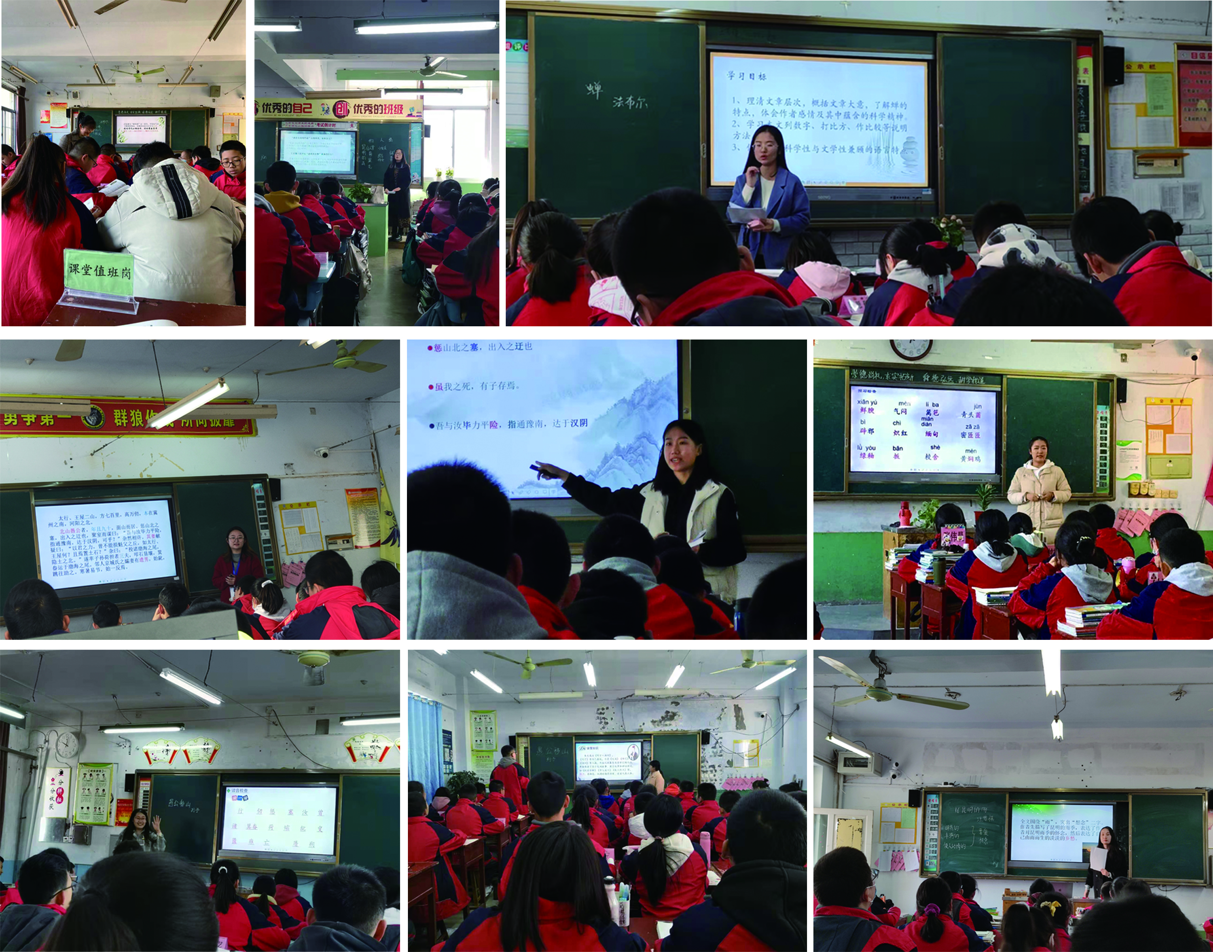 香港全年最全免费资料大全