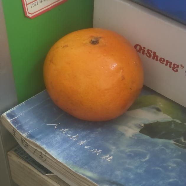 香港全年最全免费资料大全