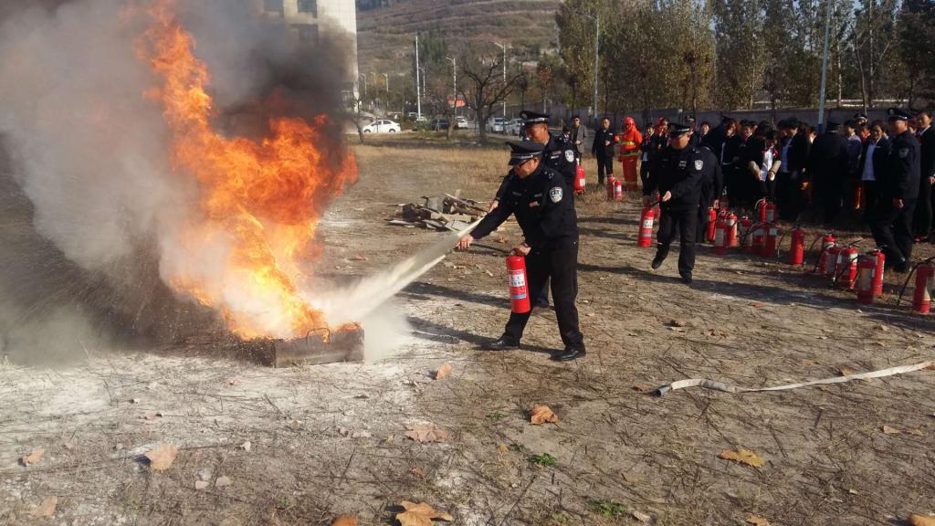 香港全年最全免费资料大全