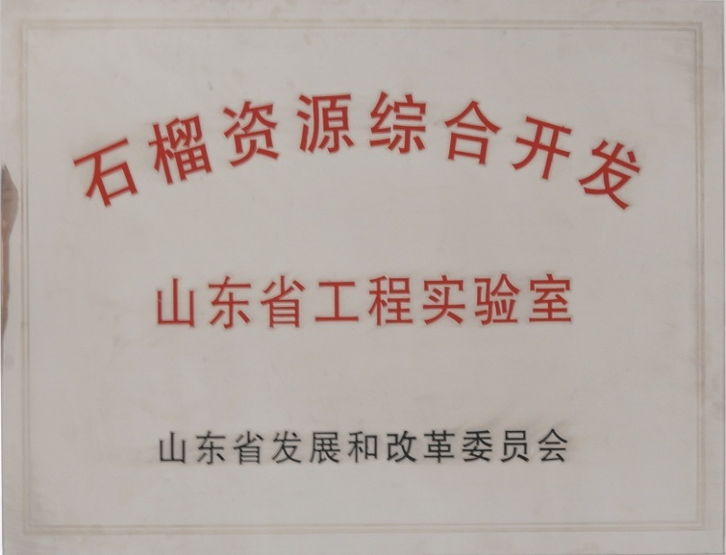 香港全年最全免费资料大全