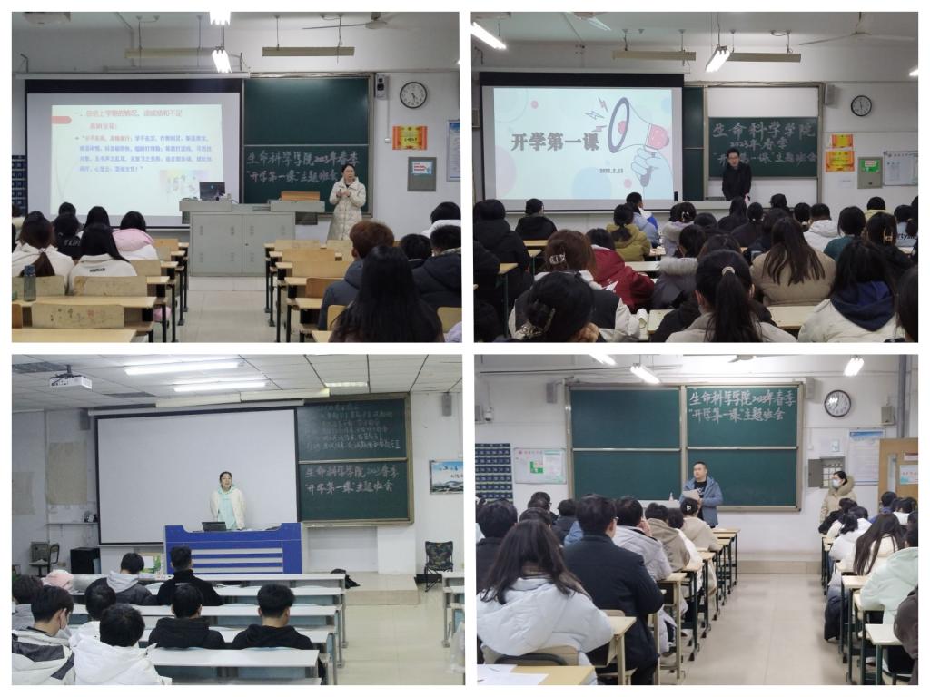 香港全年最全免费资料大全