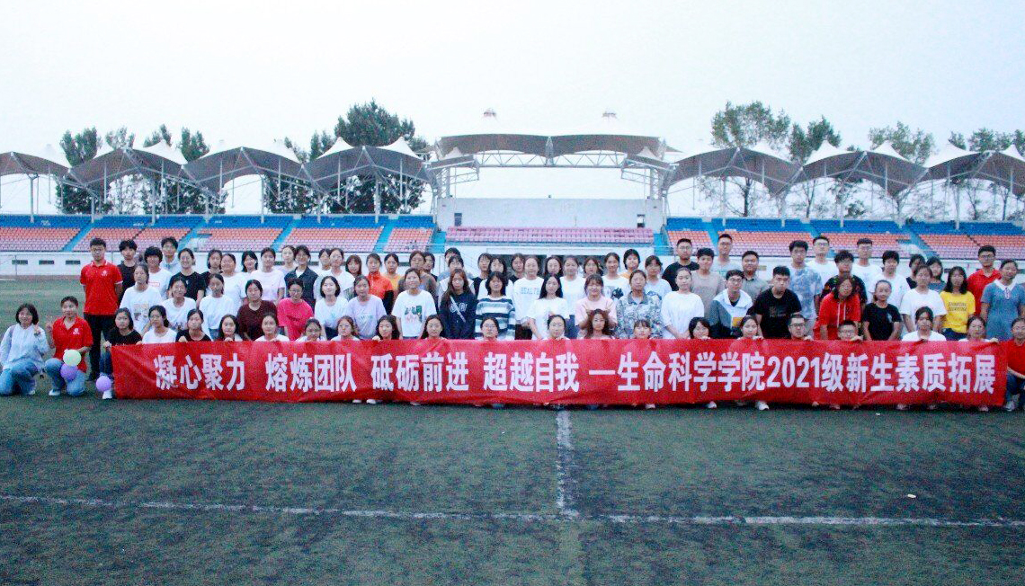 香港全年最全免费资料大全