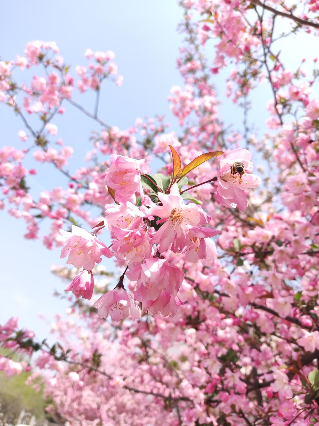 香港全年最全免费资料大全