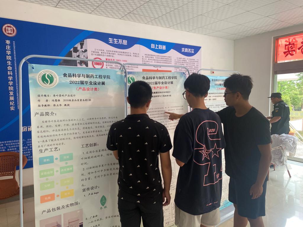 香港全年最全免费资料大全