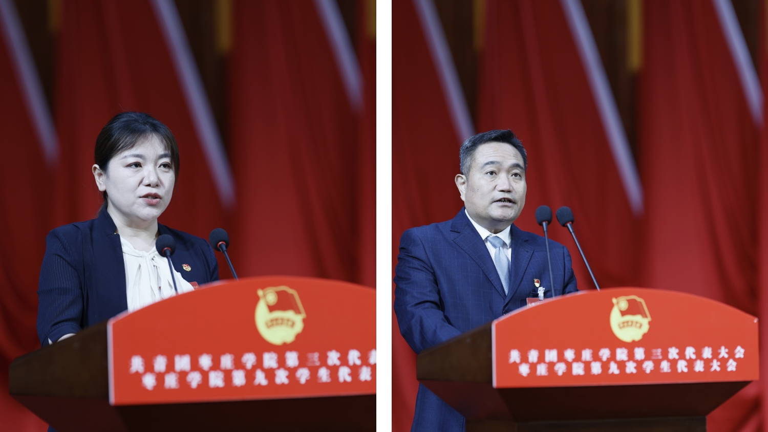 香港全年最全免费资料大全