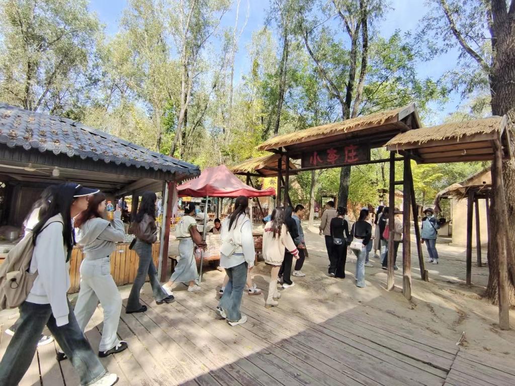 香港全年最全免费资料大全