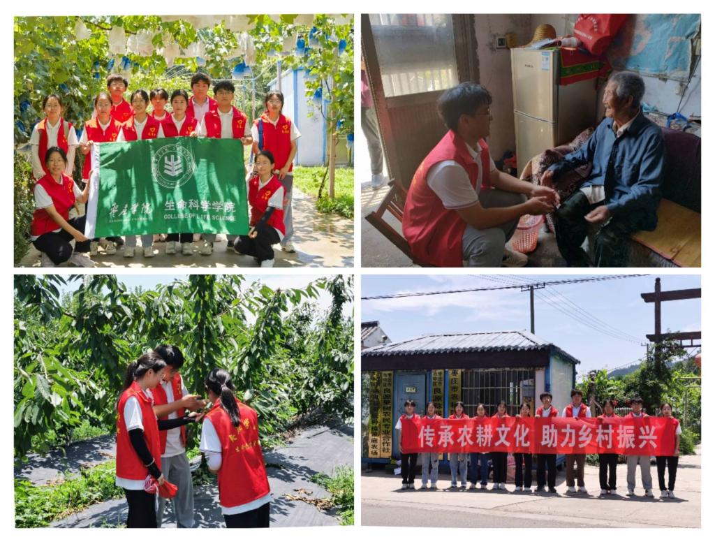 香港全年最全免费资料大全 香港全年最全免费资料大全