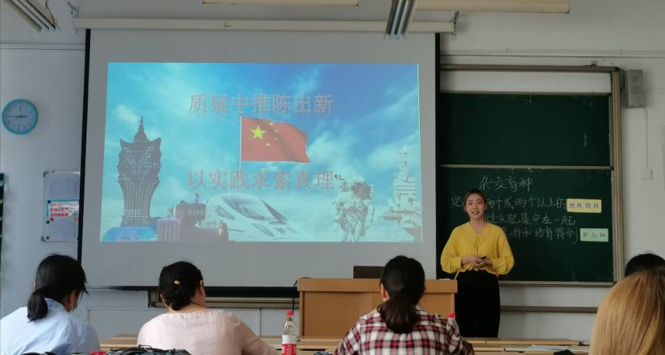 香港全年最全免费资料大全