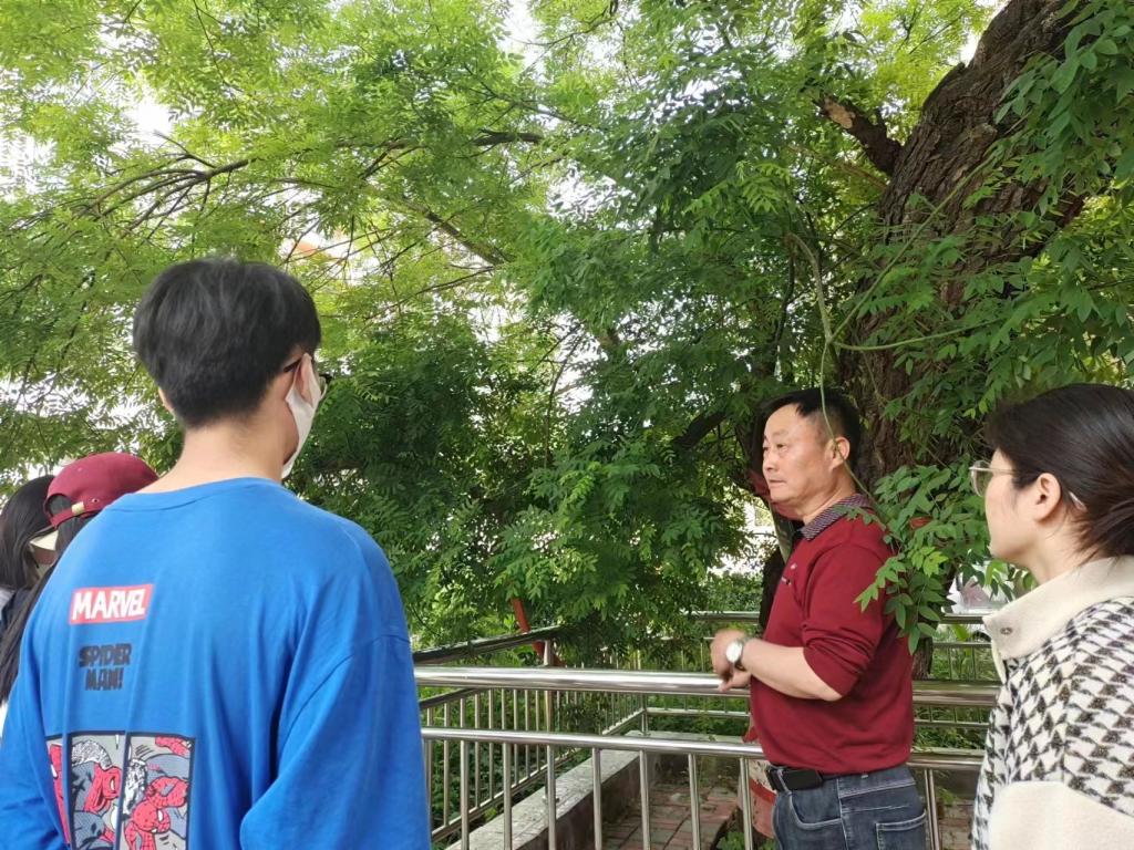 香港全年最全免费资料大全