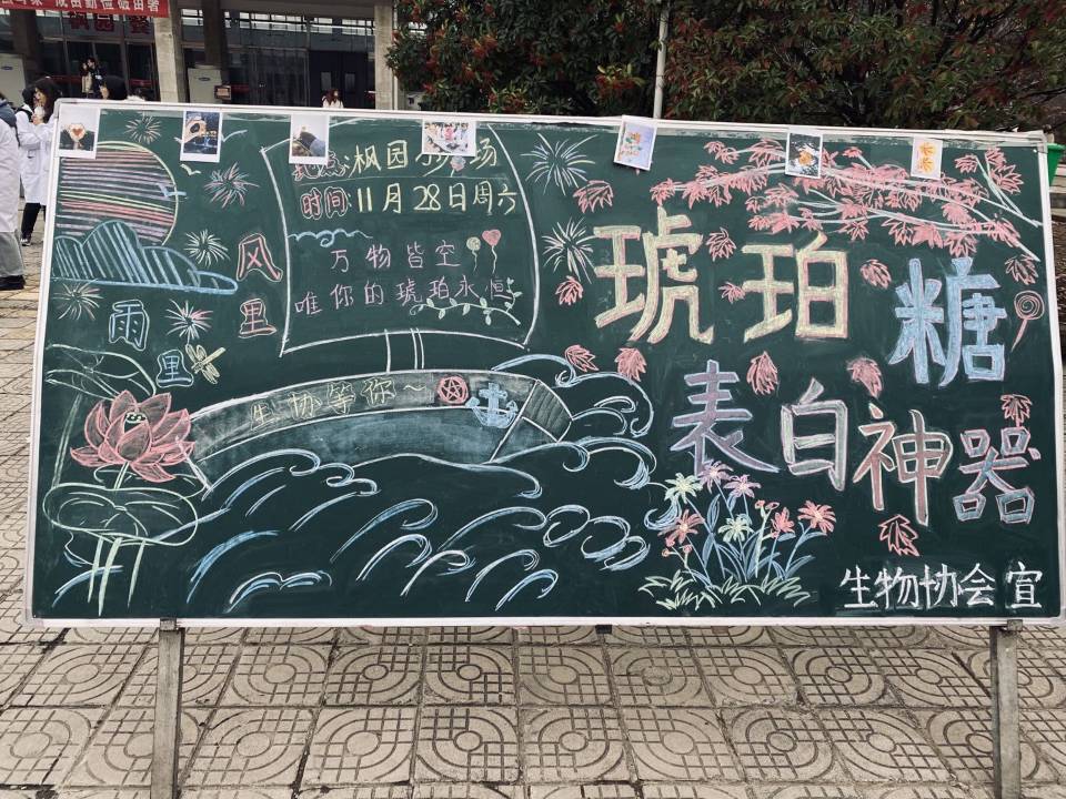 香港全年最全免费资料大全