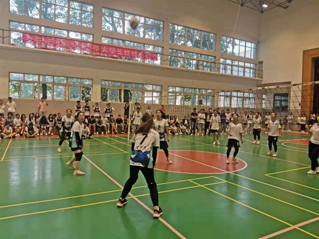 香港全年最全免费资料大全