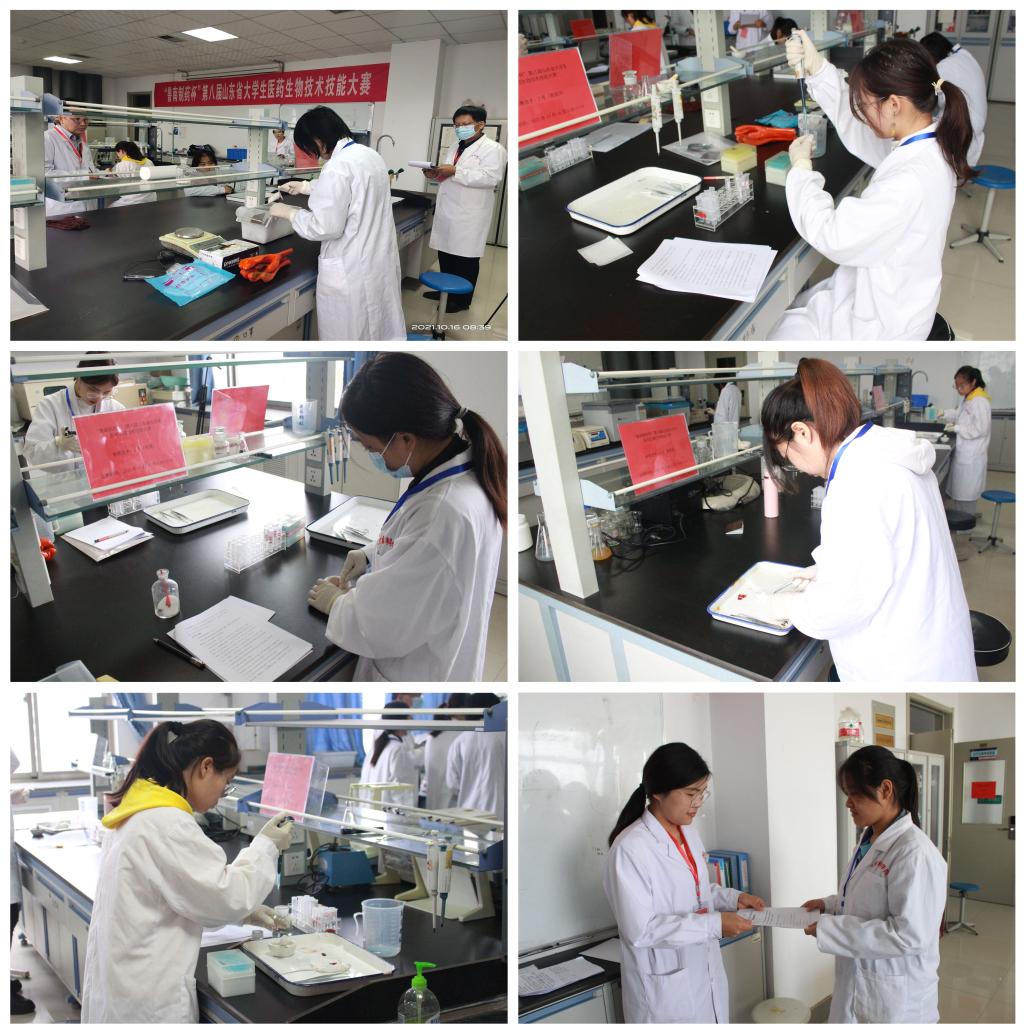 香港全年最全免费资料大全