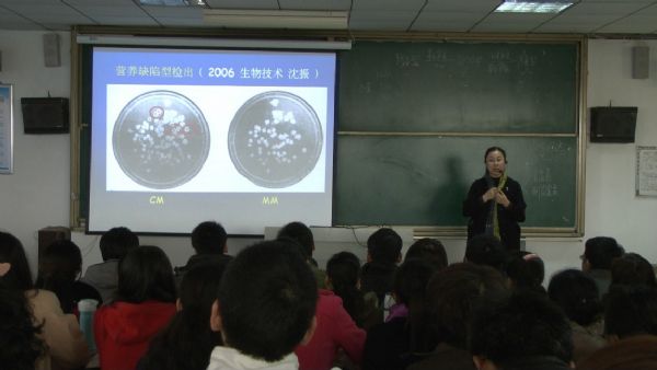 香港全年最全免费资料大全