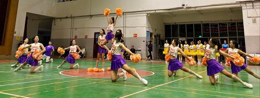 香港全年最全免费资料大全