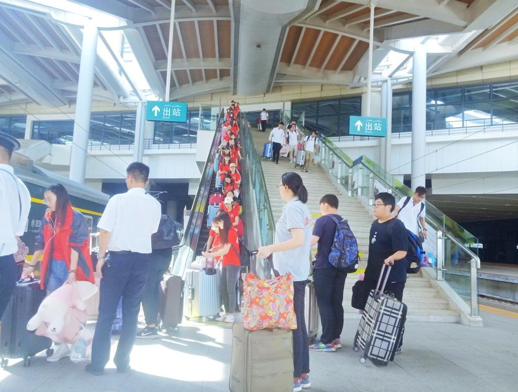 香港全年最全免费资料大全