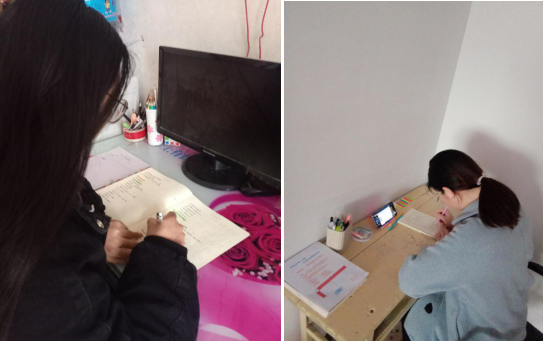 香港全年最全免费资料大全