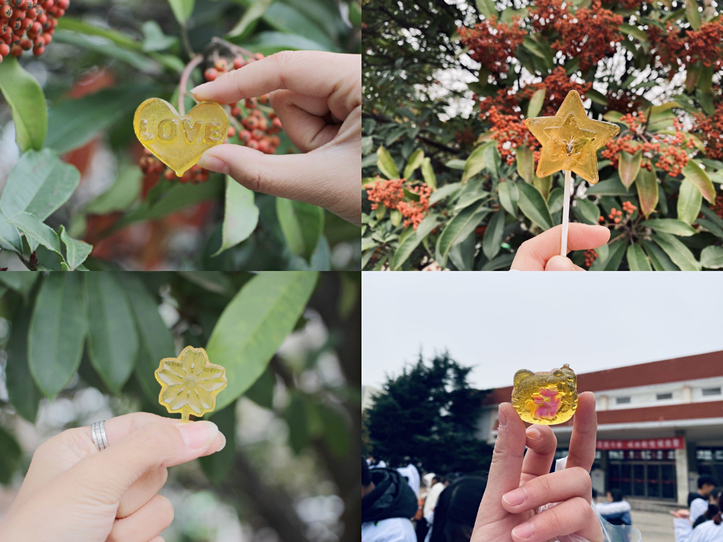 香港全年最全免费资料大全