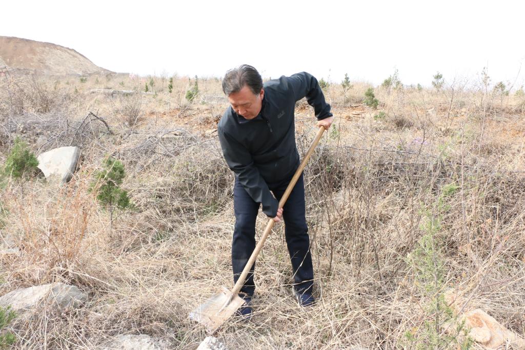 香港全年最全免费资料大全
