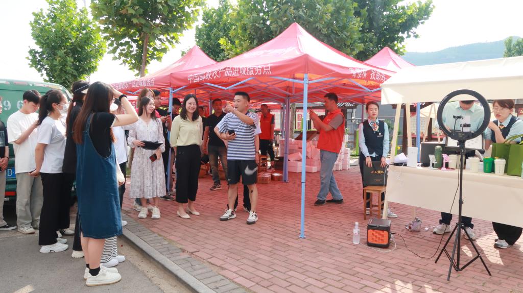 香港全年最全免费资料大全