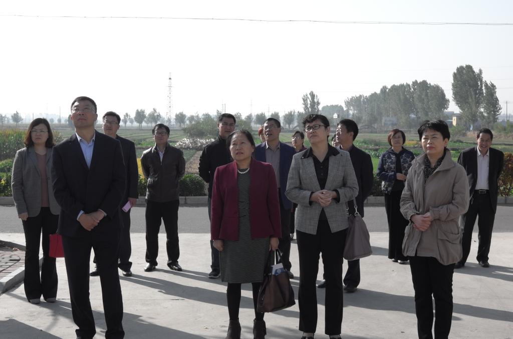 香港全年最全免费资料大全