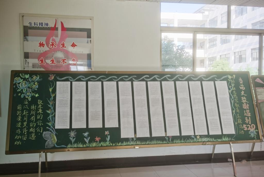 香港全年最全免费资料大全