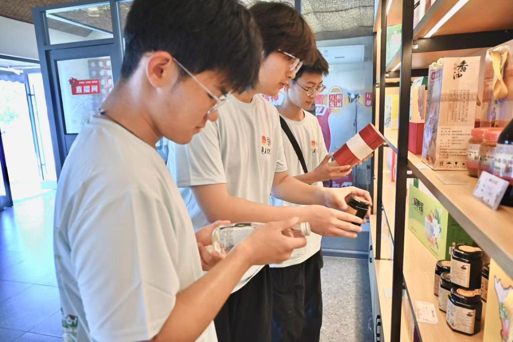 香港全年最全免费资料大全
