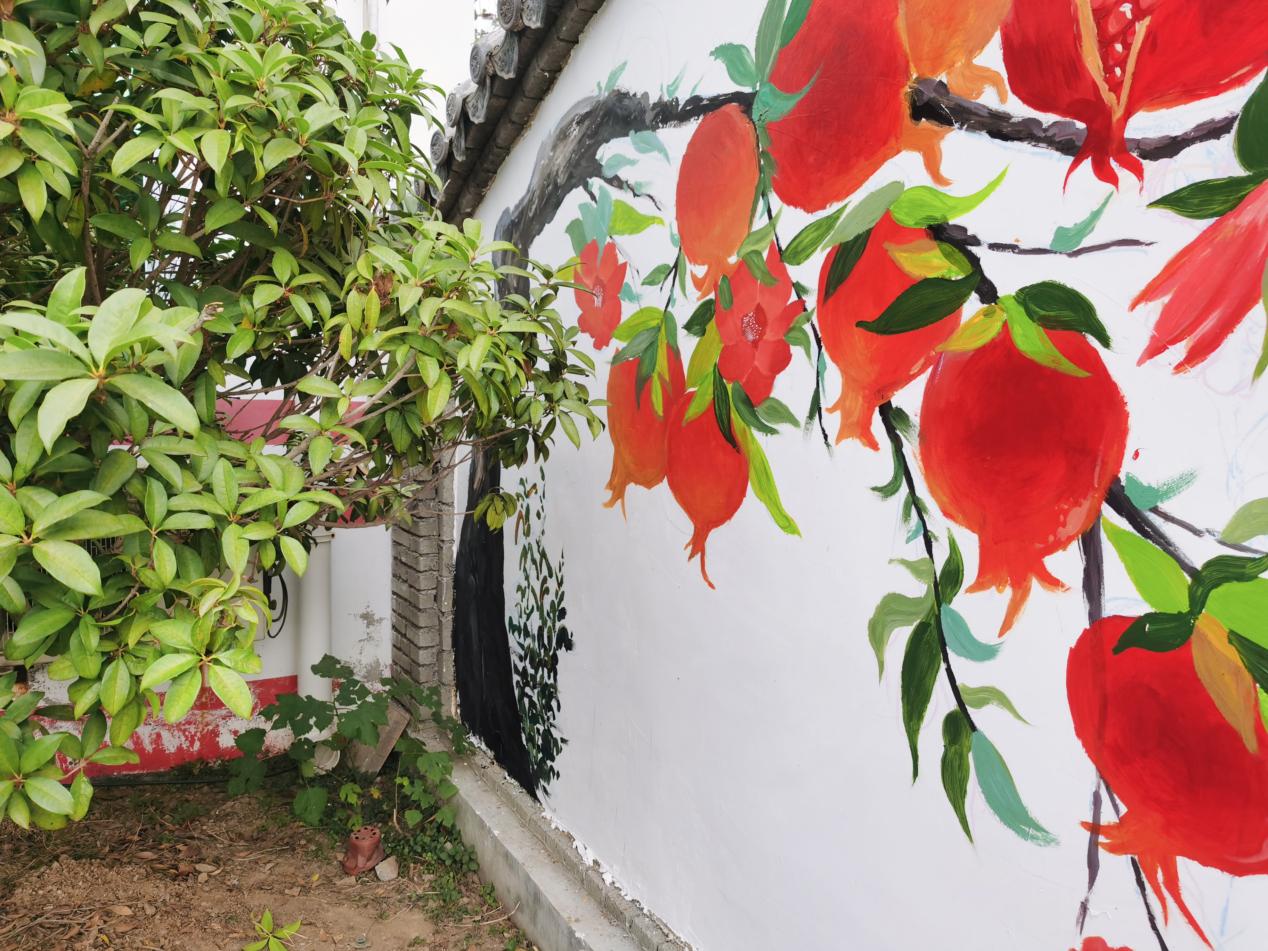 香港全年最全免费资料大全