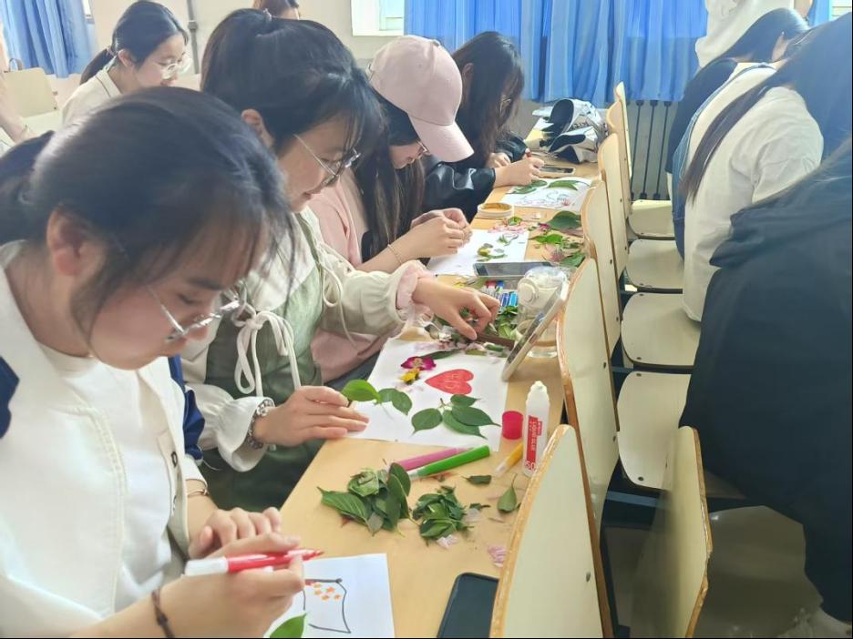 香港全年最全免费资料大全