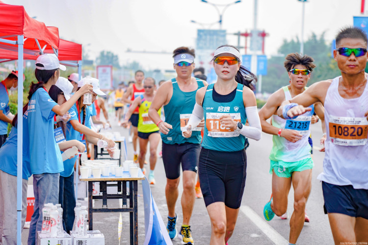 香港全年最全免费资料大全