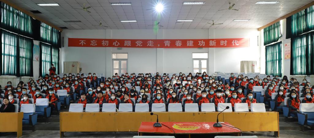 香港全年最全免费资料大全