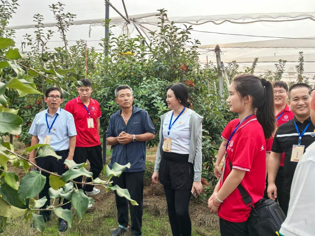 香港全年最全免费资料大全