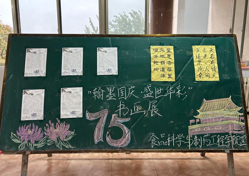 香港全年最全免费资料大全