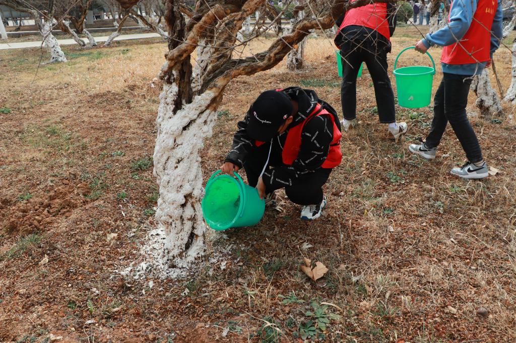 香港全年最全免费资料大全