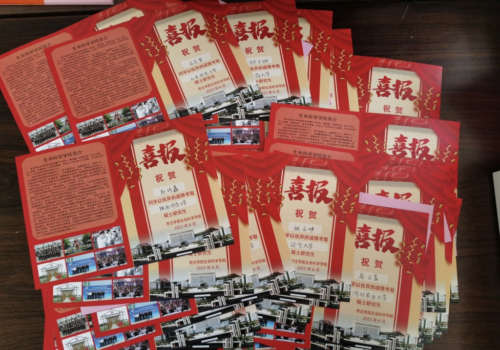 香港全年最全免费资料大全 香港全年最全免费资料大全