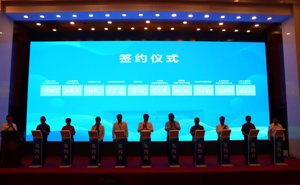 香港全年最全免费资料大全