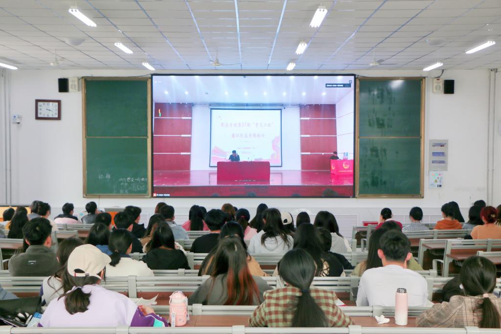 香港全年最全免费资料大全