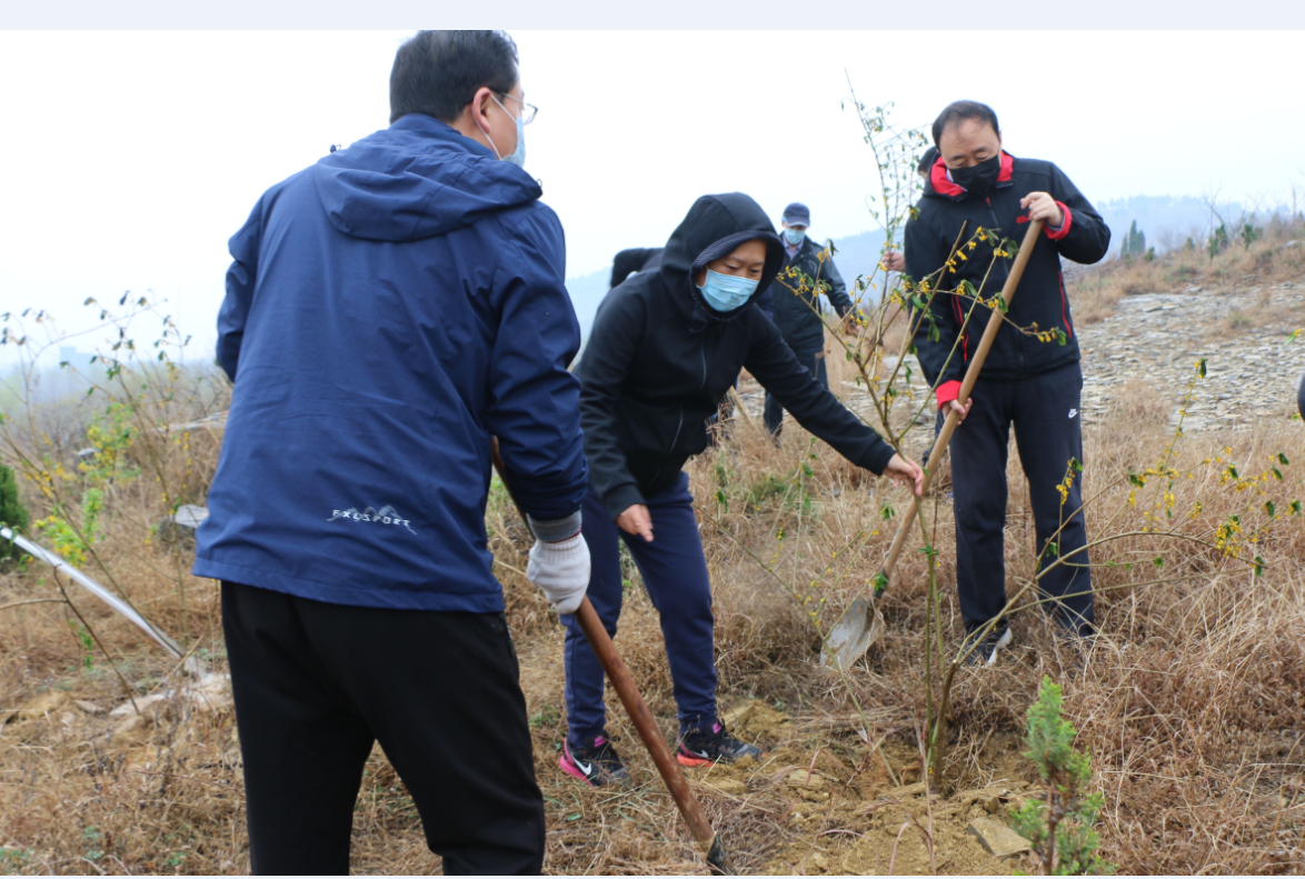 香港全年最全免费资料大全