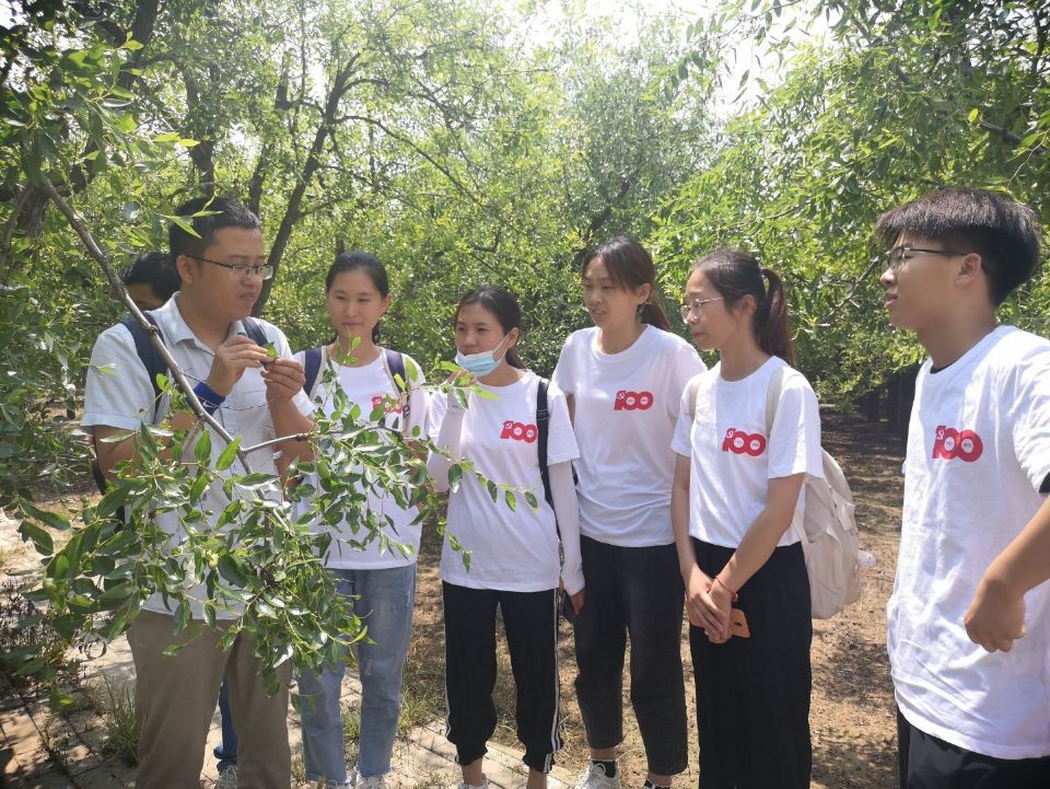 香港全年最全免费资料大全