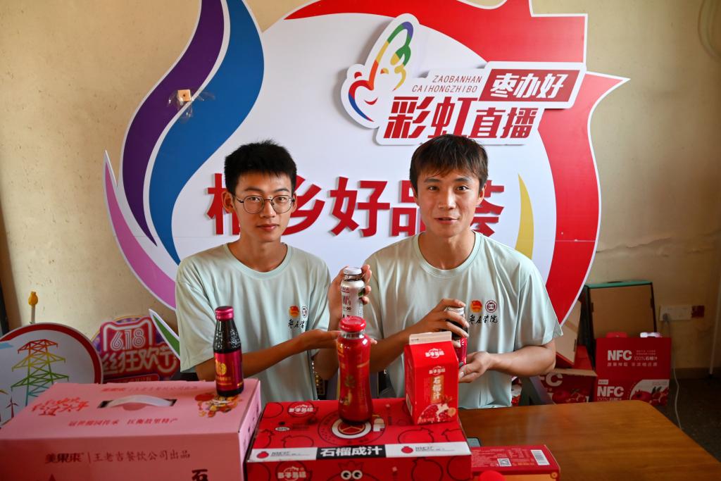 香港全年最全免费资料大全