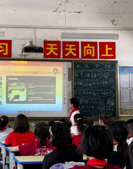 香港全年最全免费资料大全