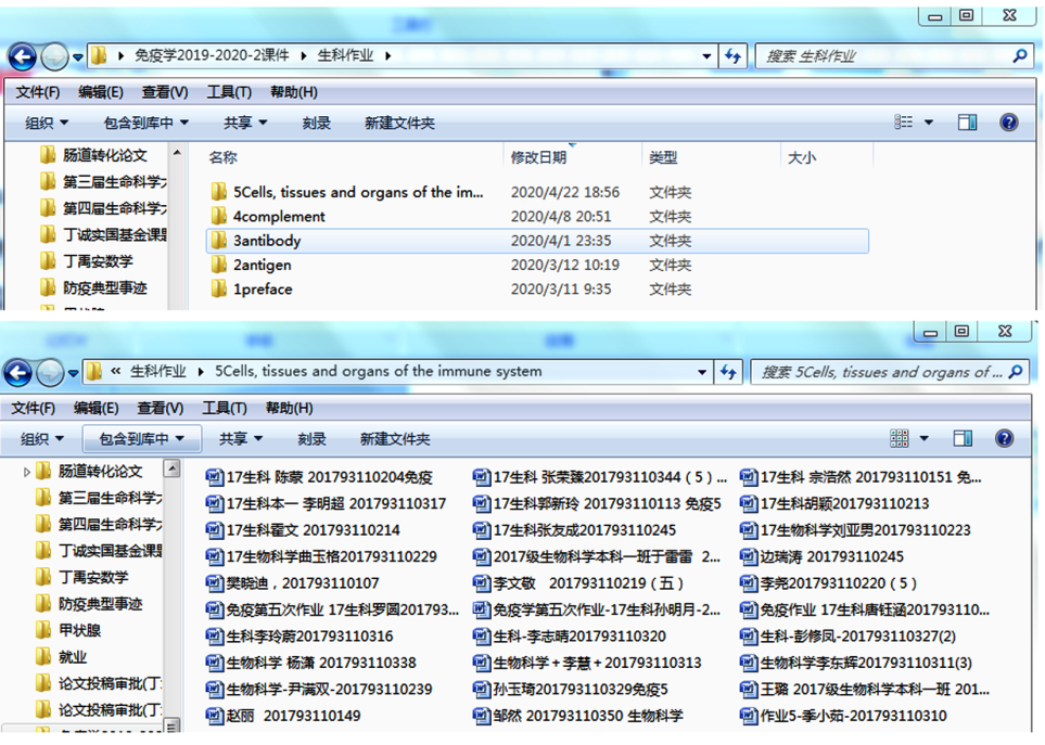 香港全年最全免费资料大全