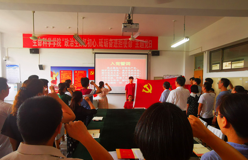 香港全年最全免费资料大全