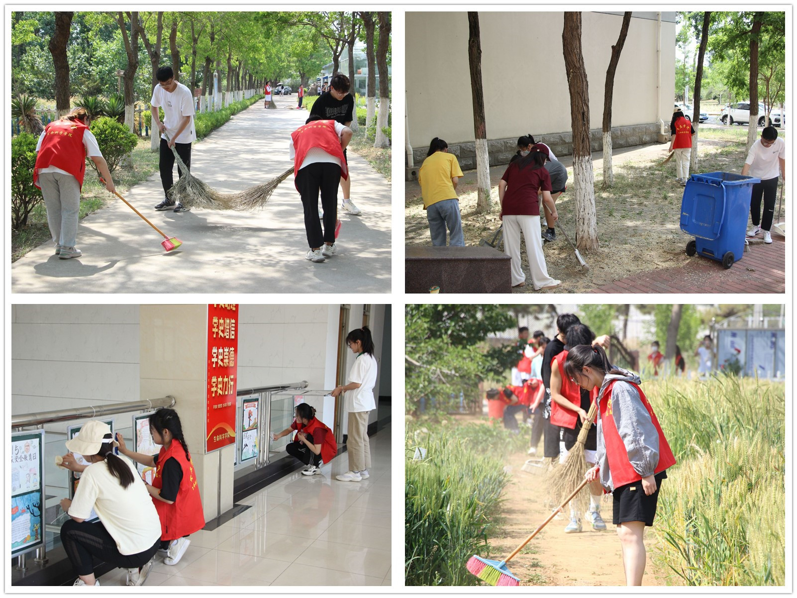 香港全年最全免费资料大全