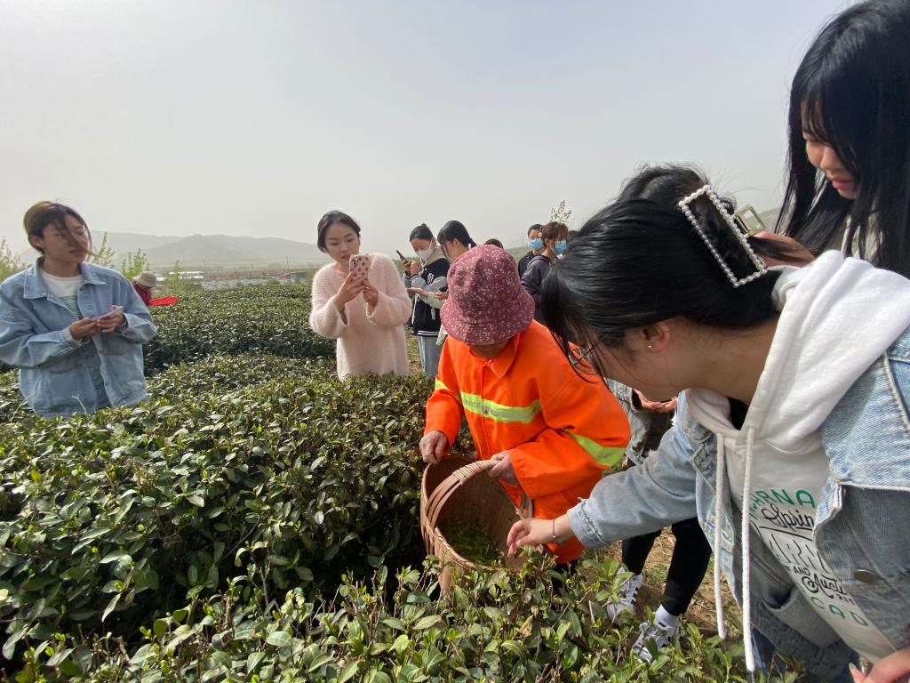 香港全年最全免费资料大全