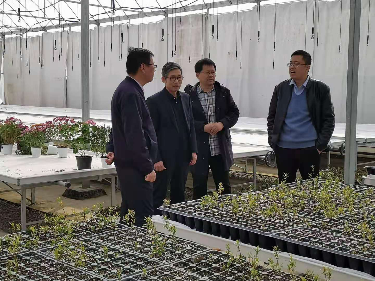 香港全年最全免费资料大全