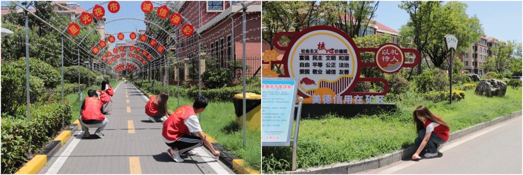 香港全年最全免费资料大全