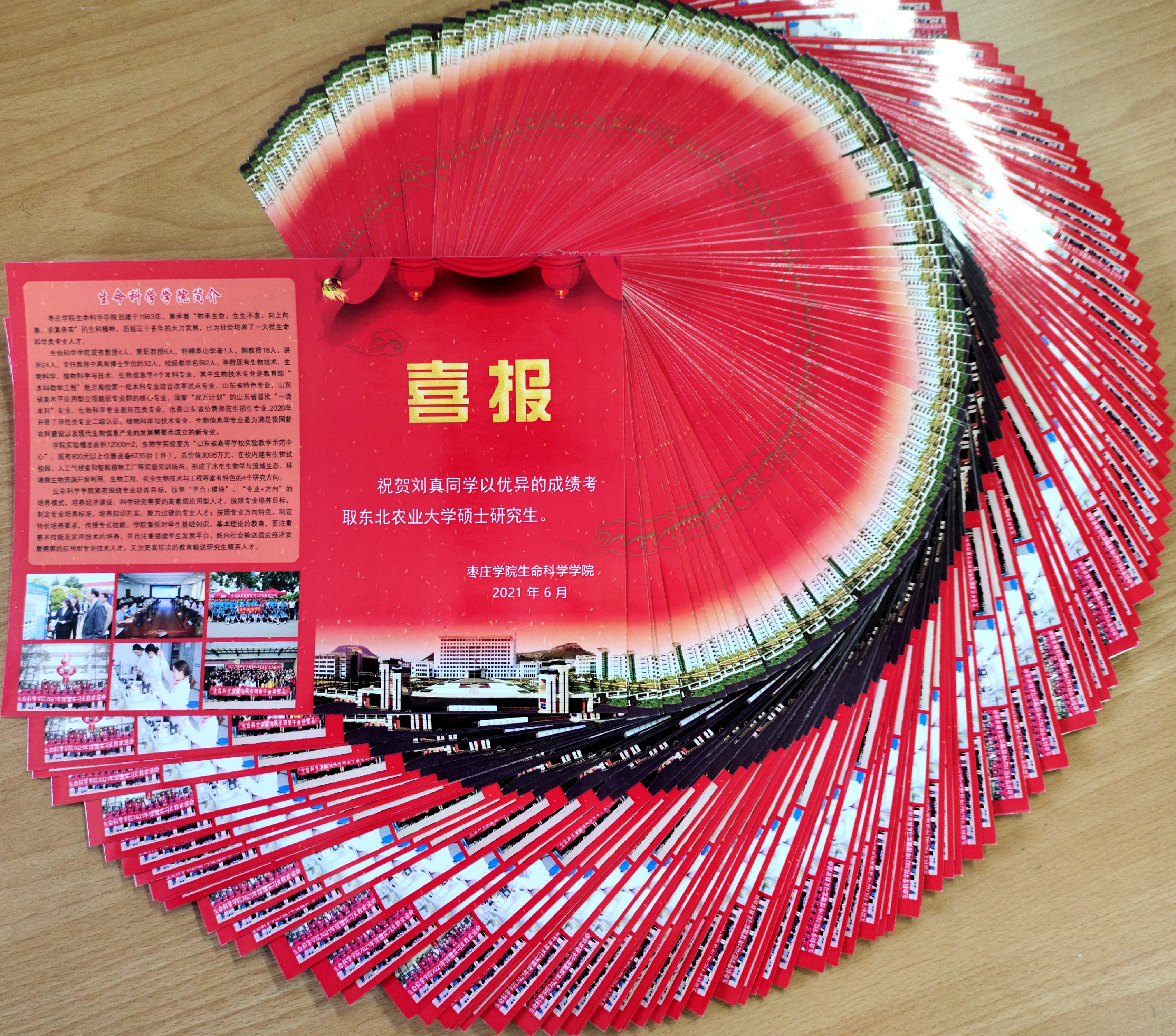 香港全年最全免费资料大全