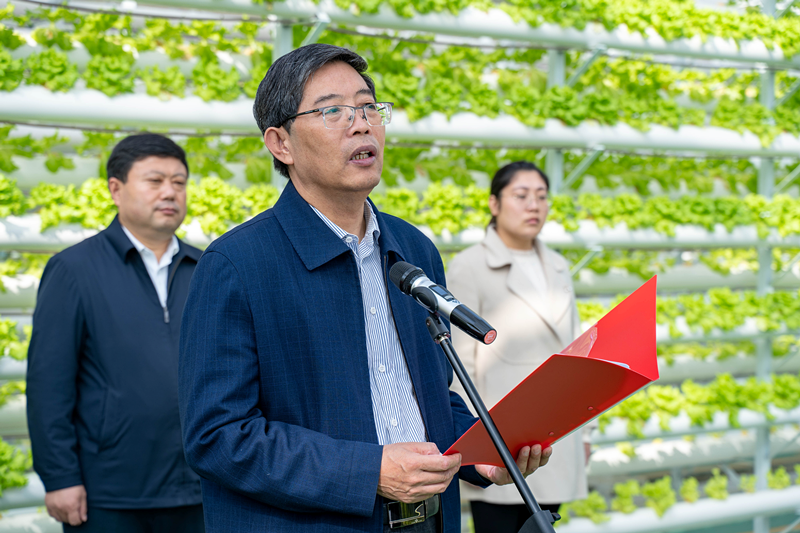 香港全年最全免费资料大全